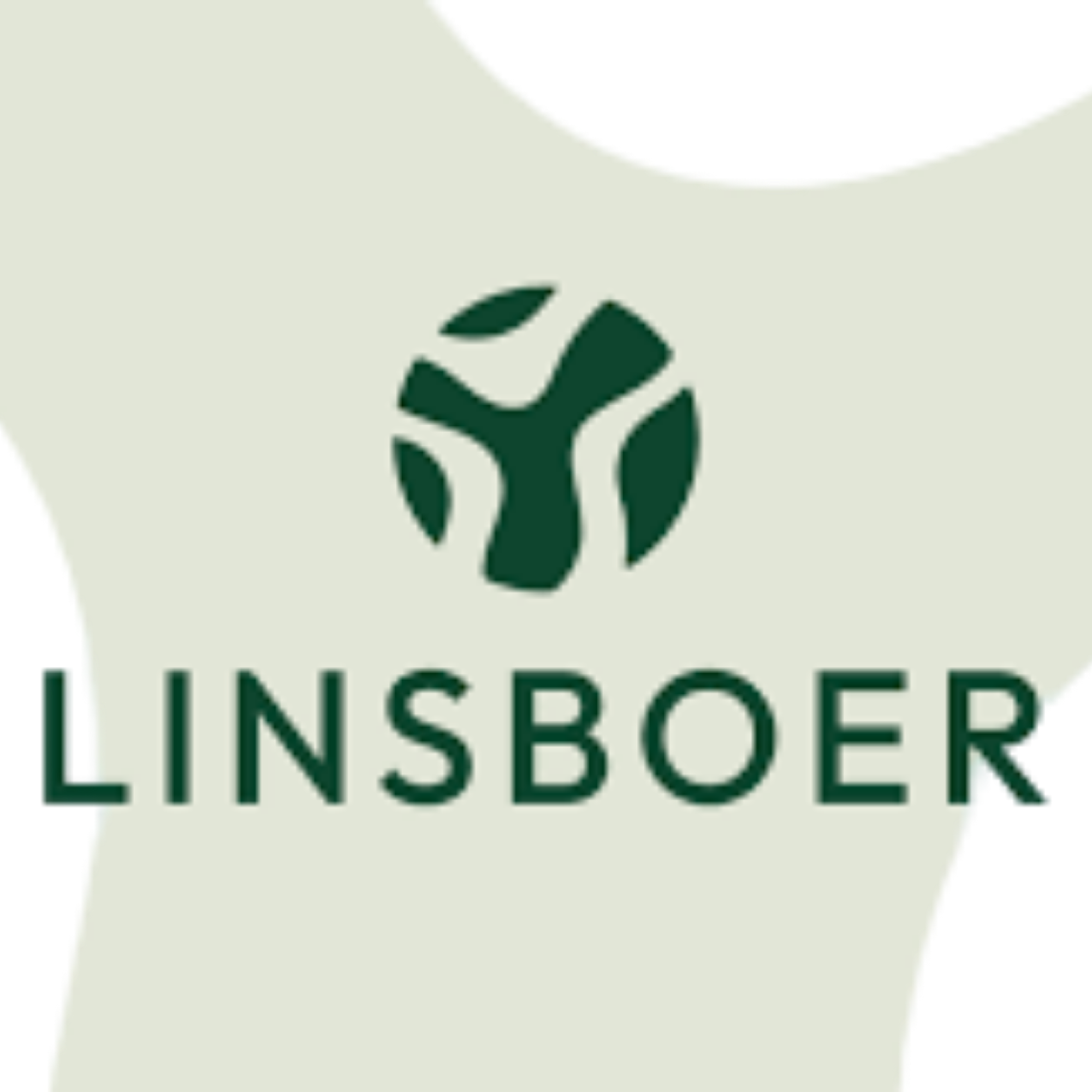 Linsboer