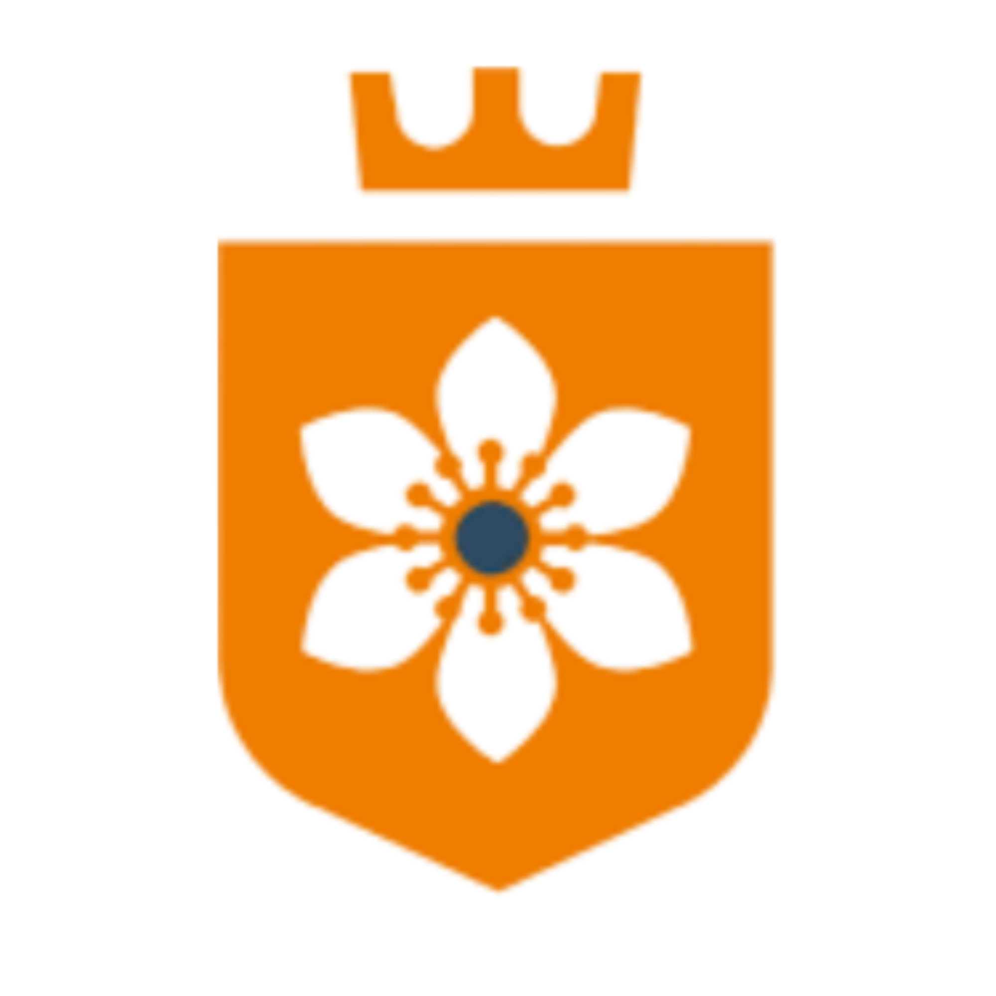 Leli Holland