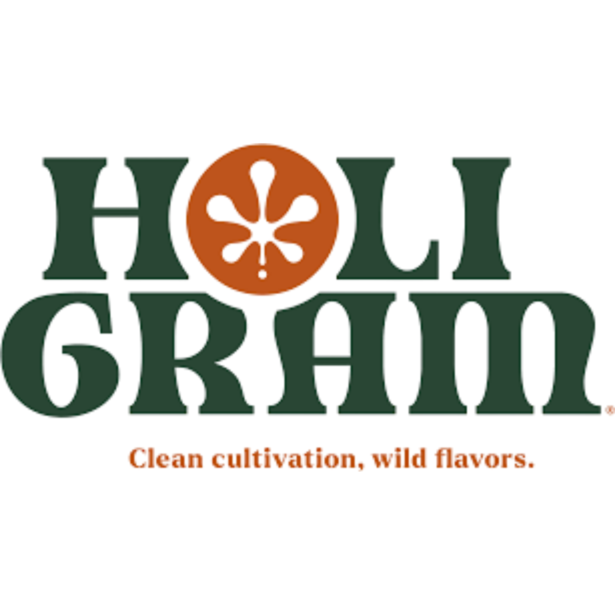 Holigram